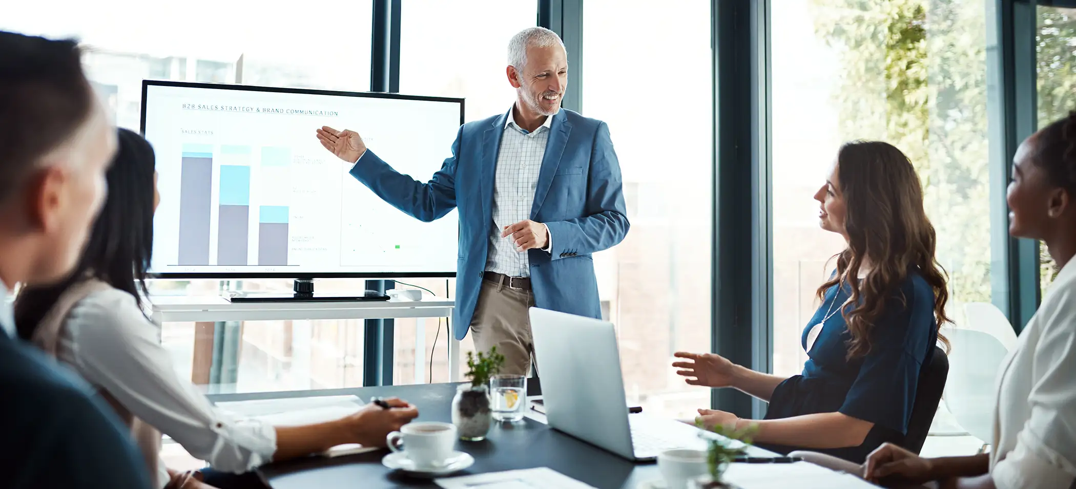 Professional leaders in a board meeting